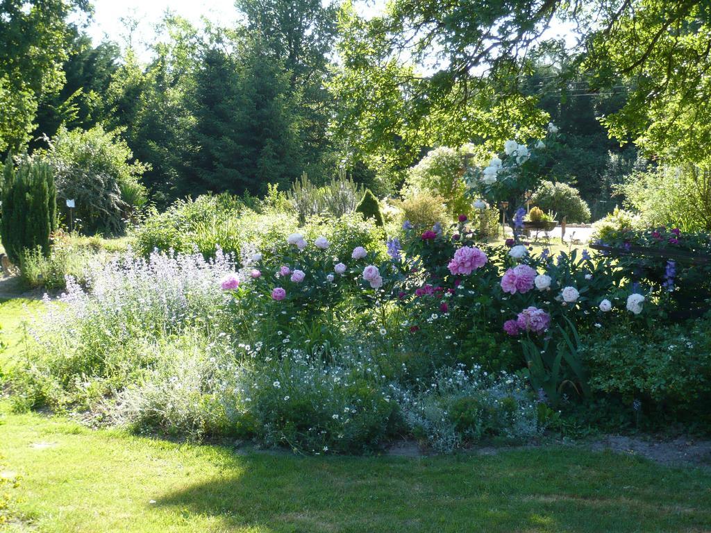 La Petite Ferme Bed & Breakfast Vouzeron Exterior photo